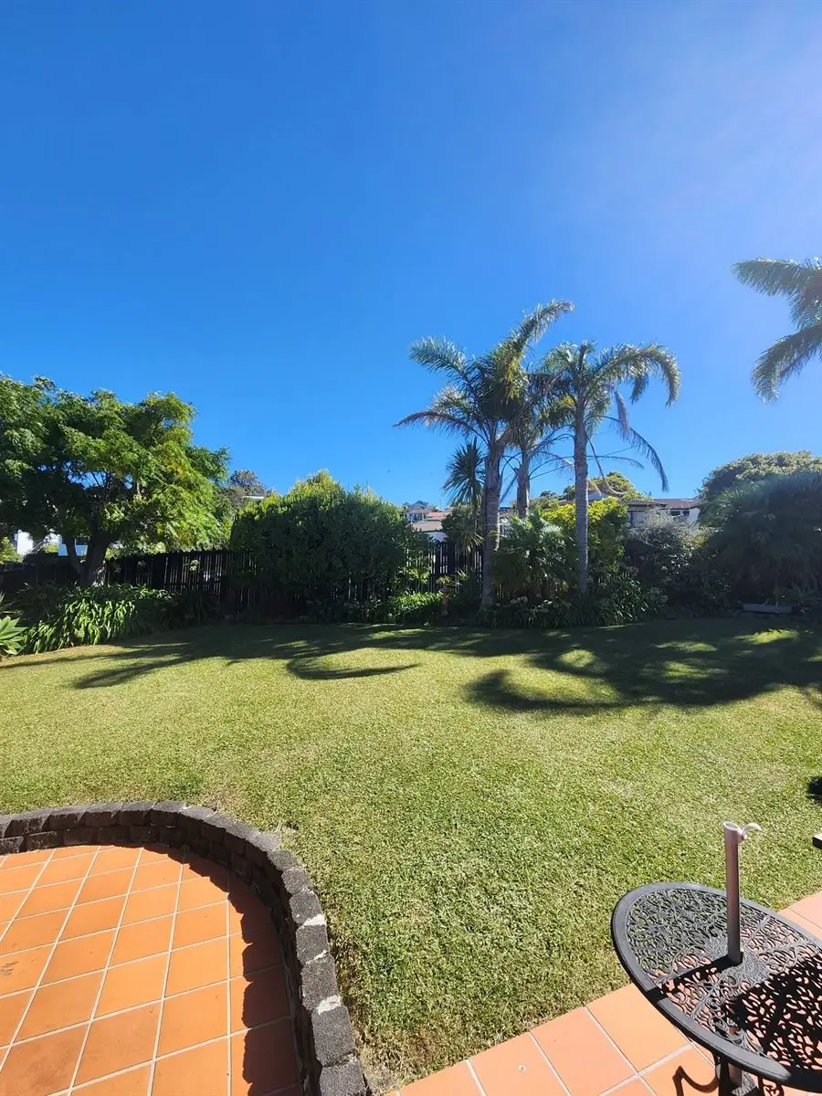 Lush green backyard lawn freshly mown, framed by palms on a sunny day