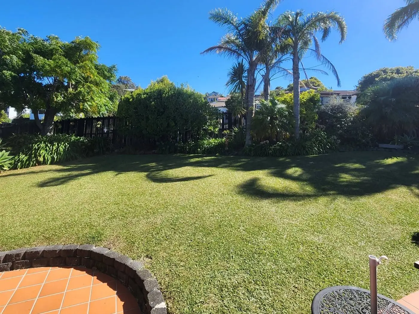 A lush, freshly mown North Shore back lawn framed by palms on a sunny day